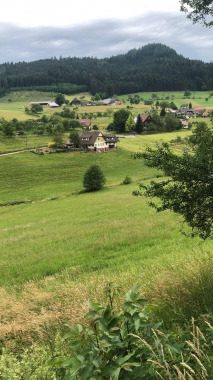 Wandern im Schwarzwald - 