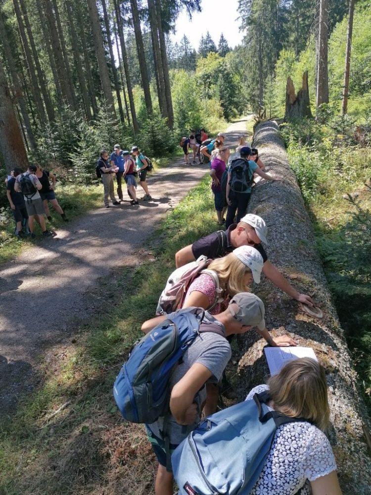 Team. F Walk+Talk - Kleines oder selbst organisiertes Event - Leinfelden-Siebenmühlental