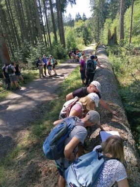 Team. F Walk+Talk, Kleines oder selbst organisiertes Event, Leinfelden-Siebenmühlental, Baden-Württemberg