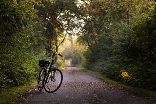 Radotur Frankfurt-Runde, Gruppenevent, Frankfurt, Hessen