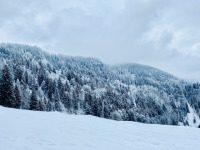 Wandergruppe Zürich CH: Wandern in Zürich (CH) und Umgebung